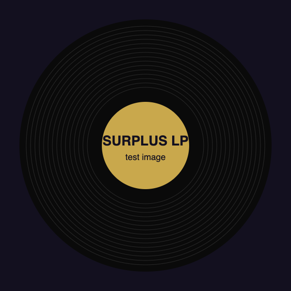 Surplus LP — black vinyl